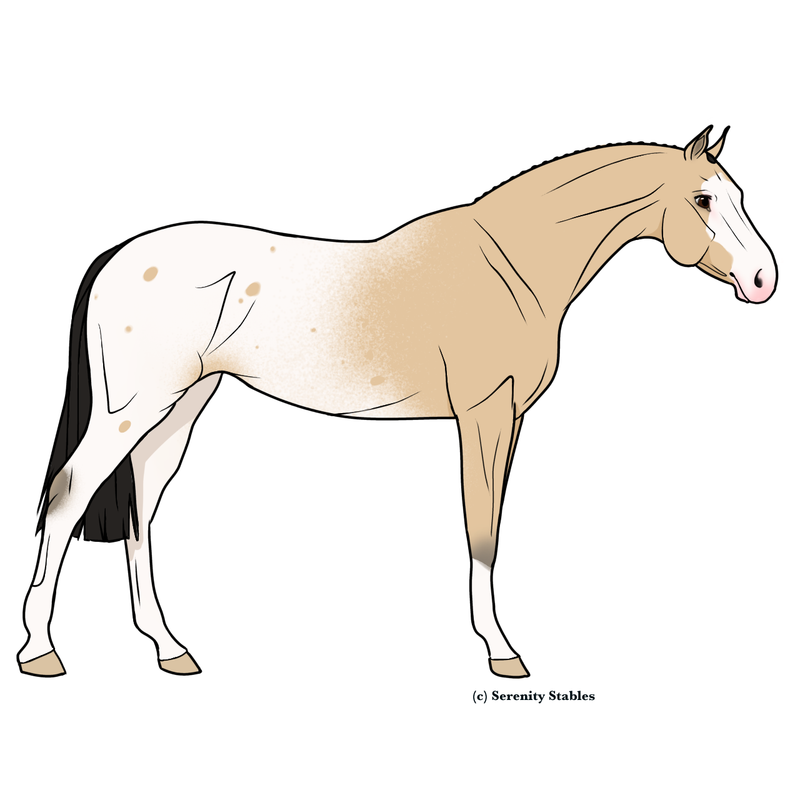 Untitled470-20240508212201.png