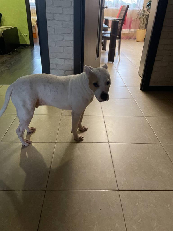 6A2CC066-8C2A-4054-9146-E3160024A1F5