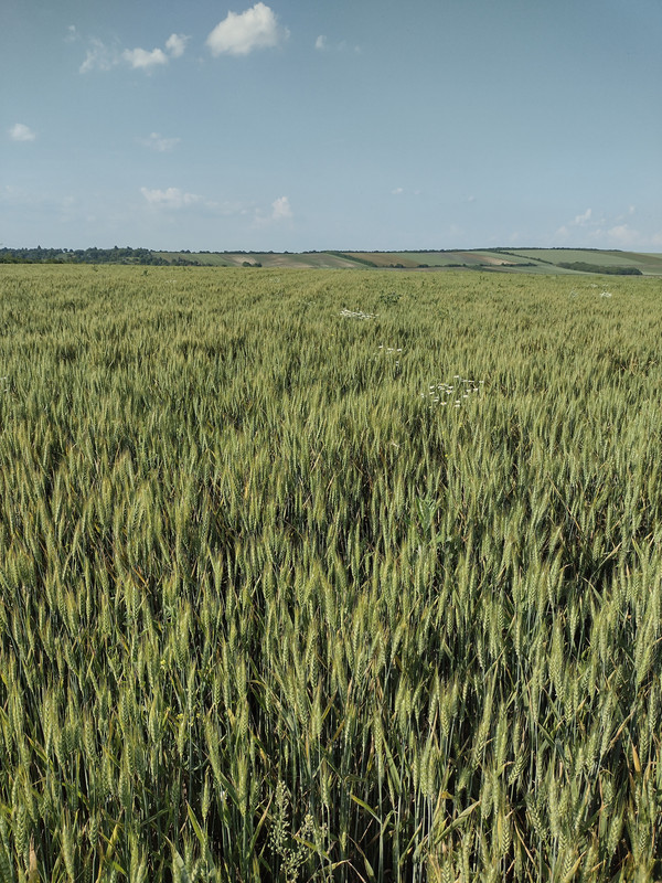 IMG-20230523-172102329-HDR.jpg