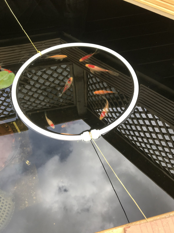 7B8E330F-CD56-489E-8D93-D15009B50A78