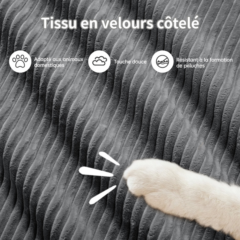 Canapé modulable gris dans le salon