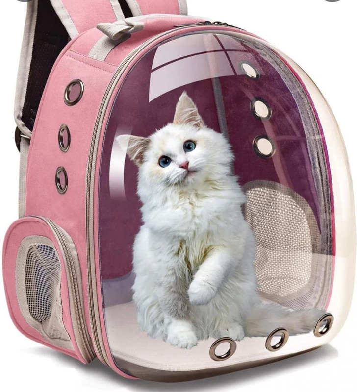 Screenshot_20220816-121750_Chrome