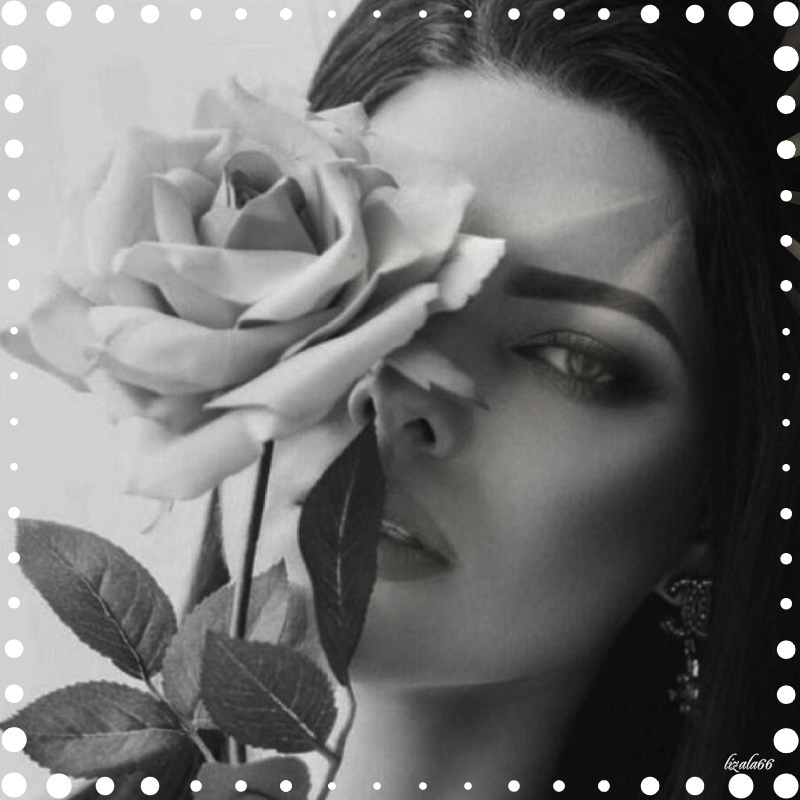 femme_rose_noir_modifiéfini