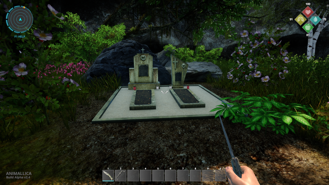 Animallica_2018-06-26_15-32-29