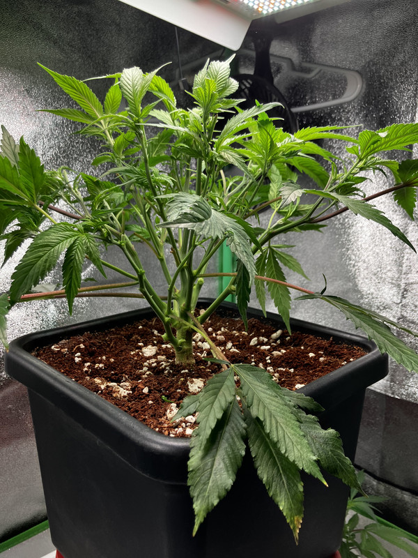 16C9A7CD-7C5D-47C3-884C-91F526D0A3C7