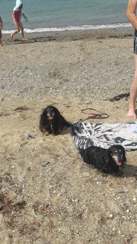 [Image: 20200811-153825.jpg]