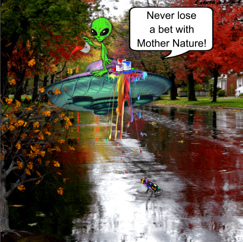 MotherNature_BRUCE