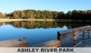 Ashley River Park General