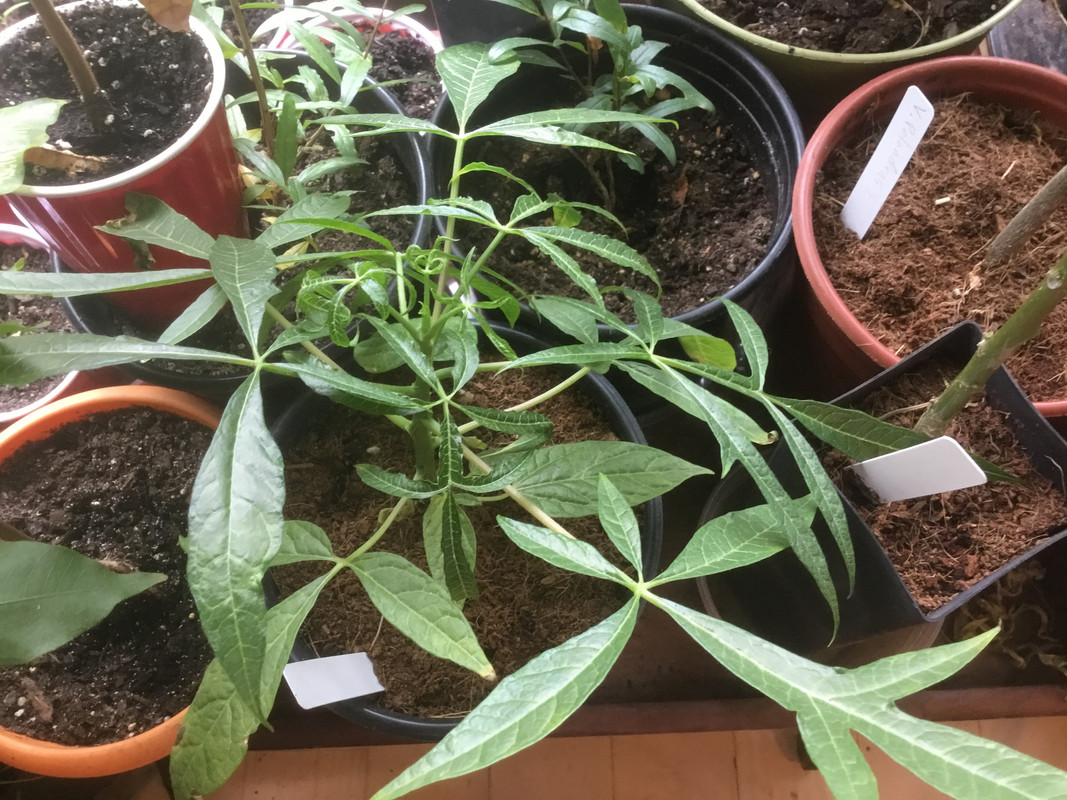 04D9EC92-7FA7-43A2-B468-93809CF8B53B