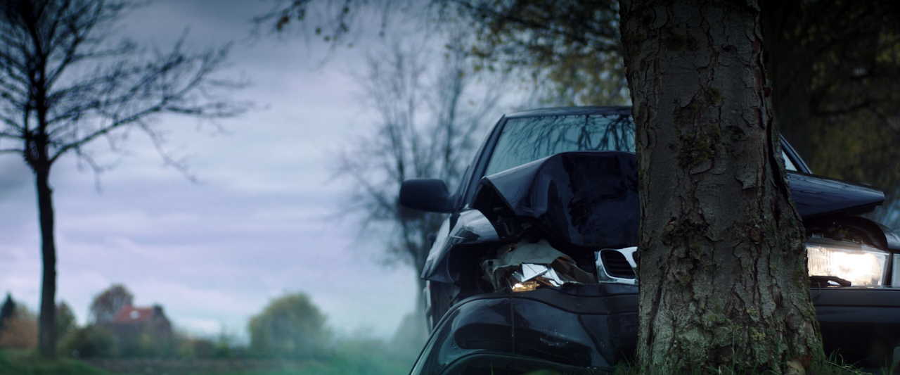 Raw (2016) (1080p Bluray x265 HEVC 10bit AAC 5.1