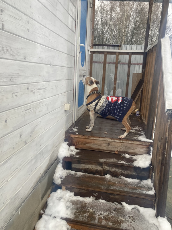 6FF56CA8-4D7E-4D7D-9713-377A07DC82D7