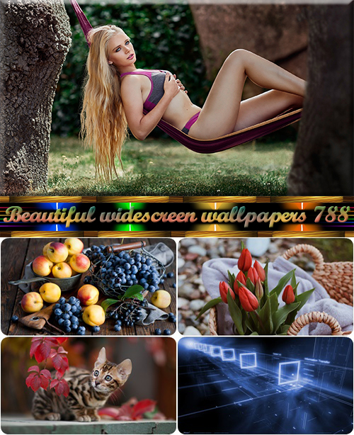 Beautiful widescreen wallpapers 788