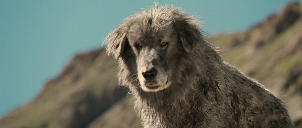 vlcsnap-2023-01-10-15h49m31s138