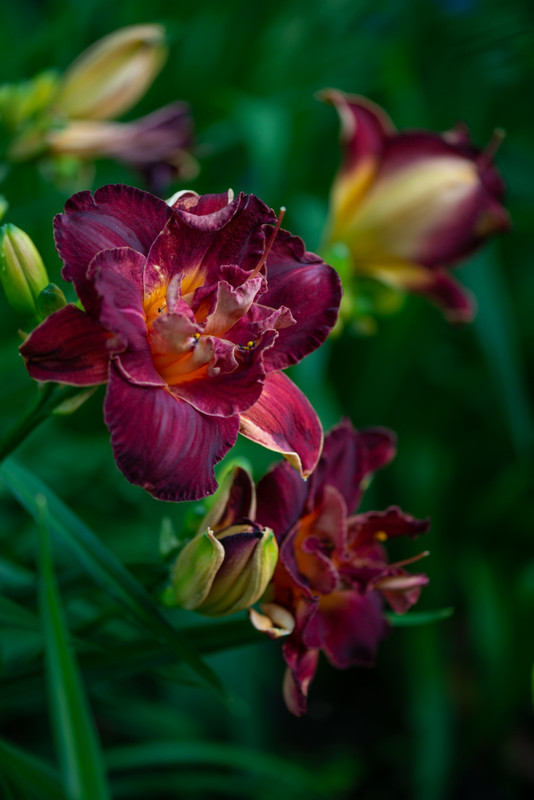 IMG-575ef79aa724f44fff6fd2445c40fd51-V