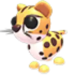 Cheetah