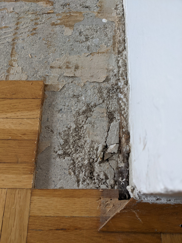 PXL_20221016_092723465