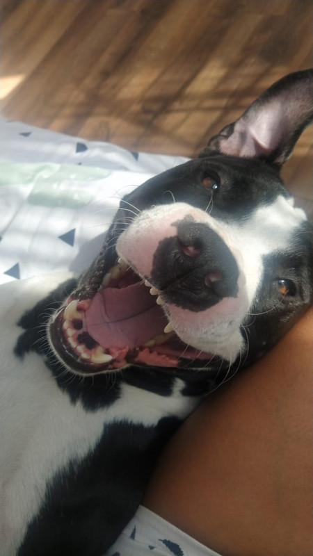 C00359C2-B0F0-4900-B3AE-501E9E8533E3