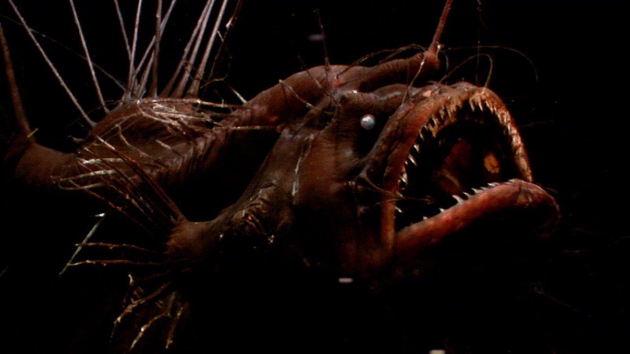 The Blue Planet S01E04 The Deep (1080p x265 10bit Tigole).mkv_sn