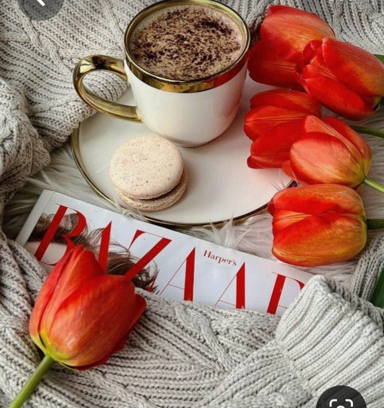 Screenshot_20230731_230856_Pinterest