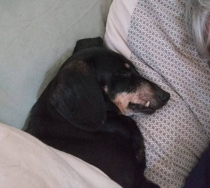 [Image: IMG-20250610-081208.jpg]