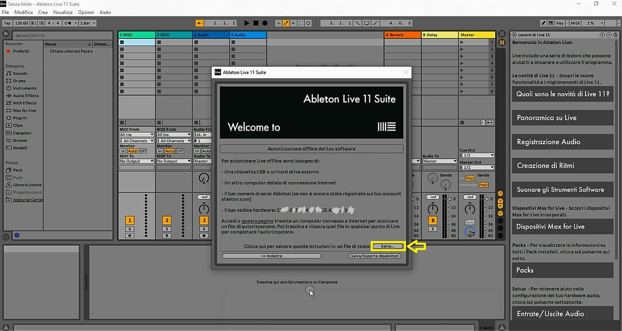 Ableton Live 11 (Ness Conn Salva)