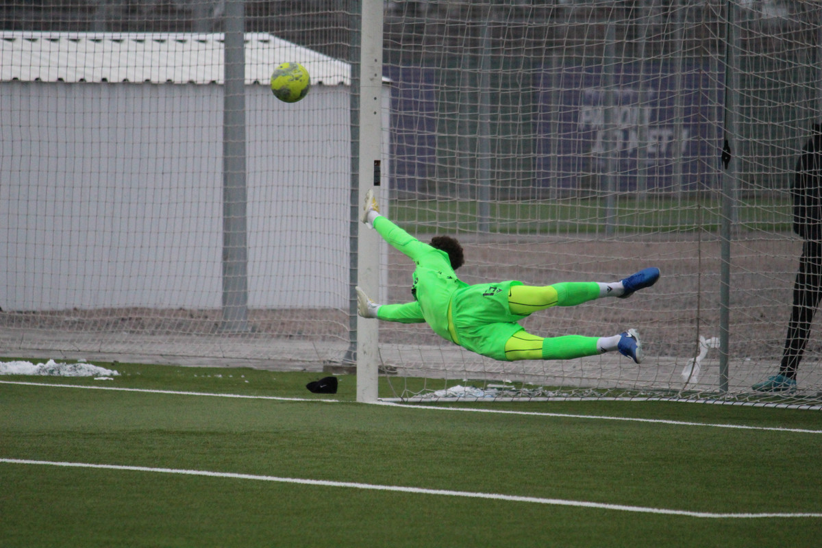 IMG-1517
