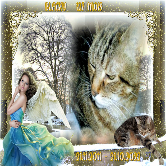 BLACKY-127-MOIS
