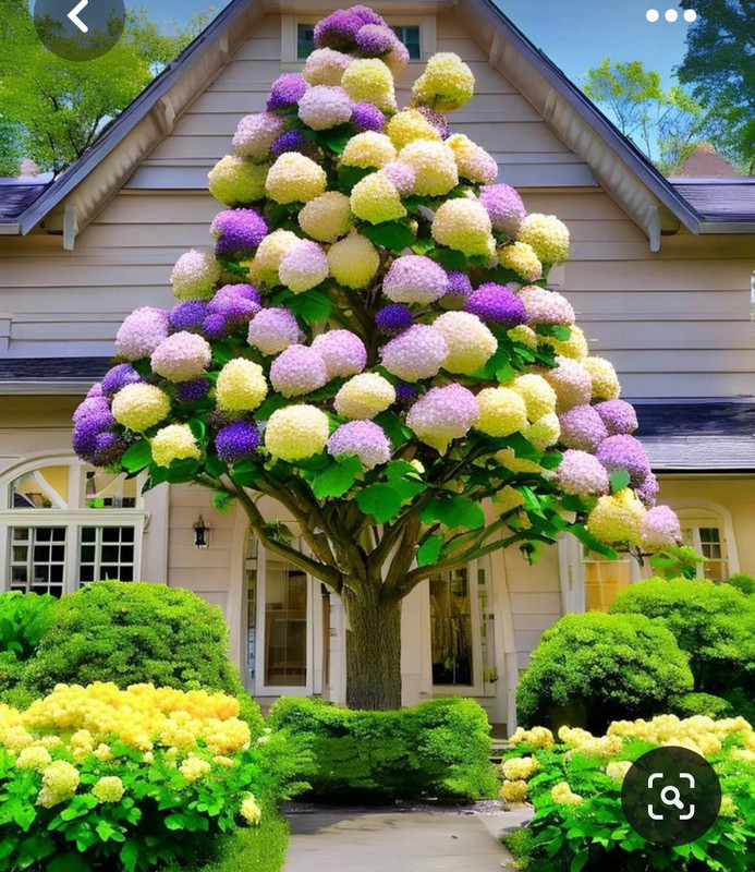 Screenshot_20230413_232245_Pinterest