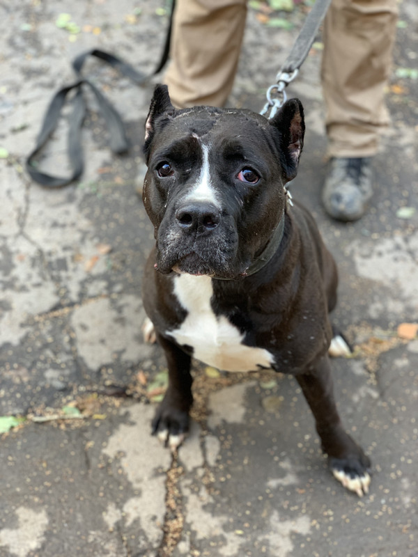 5B9A3526-6A03-4D95-A2D6-02C416A019C5