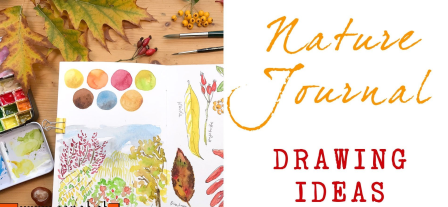 Nature Journal - Drawing Ideas For Autumn
