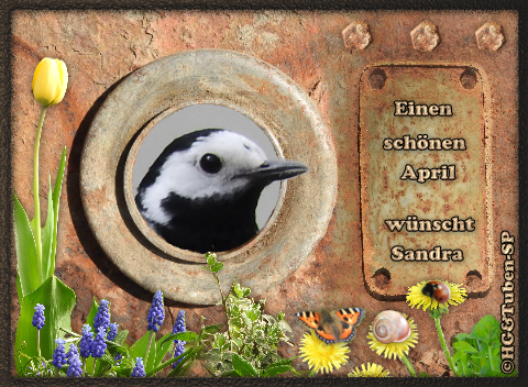 An den Beitrag angehängtes Bild: https://i.postimg.cc/sDfH9z81/gbls05u.png