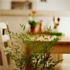 Stock-1024
