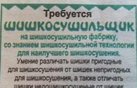 skorogovorka-pro-shishkosushilnuu-fabriku-563x360