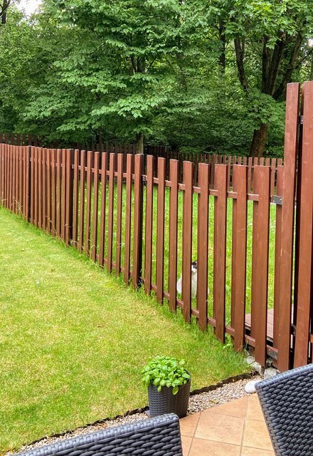 9-D35-B168-EE03-4-EB0-AE7-D-D43-ACF84157