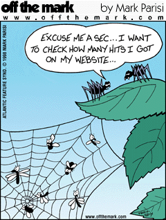 web.png