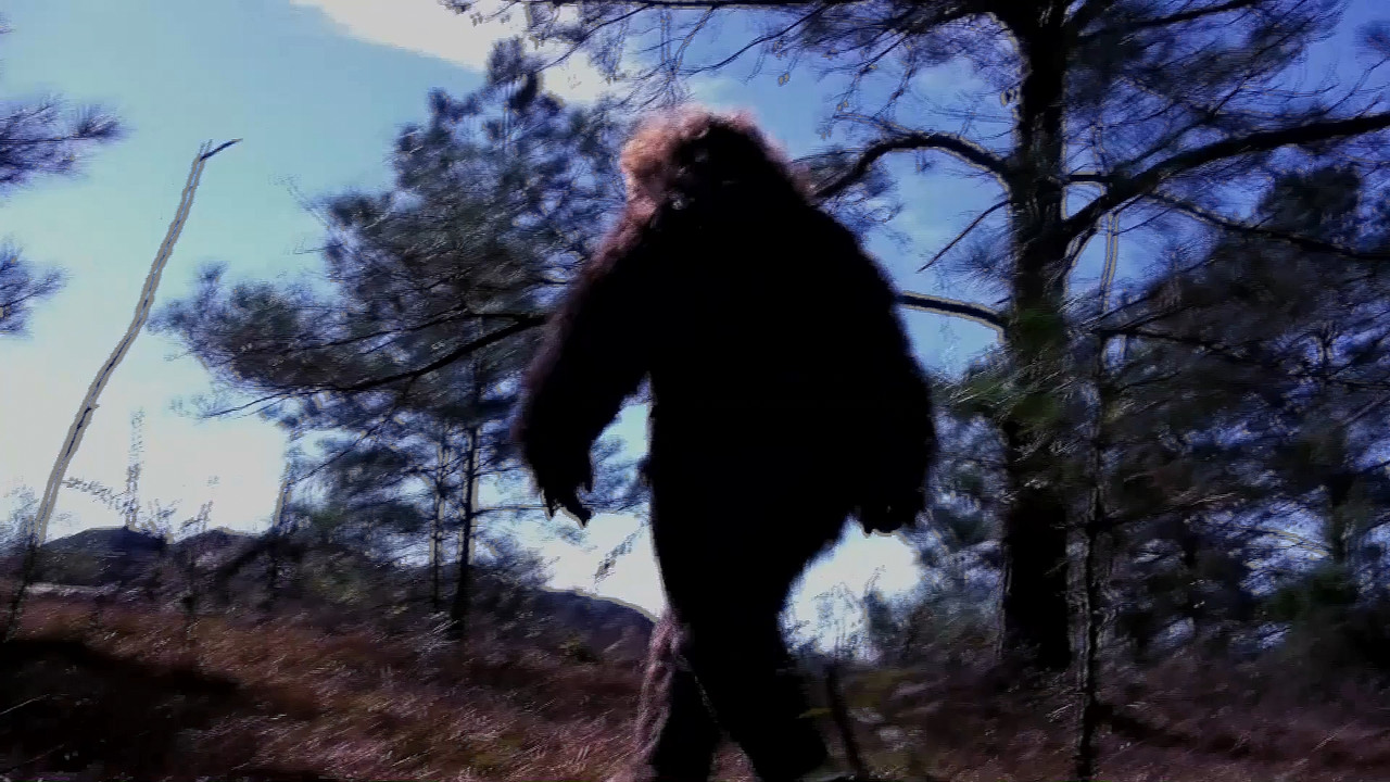 Bridgewater Triangle - Paranormal Vortex (2022) 1080p WEB-DL x264 An0mal1.mkv_snapshot_00.31.08.533