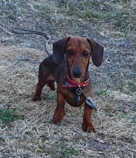 [Image: 20220713-231303.jpg]