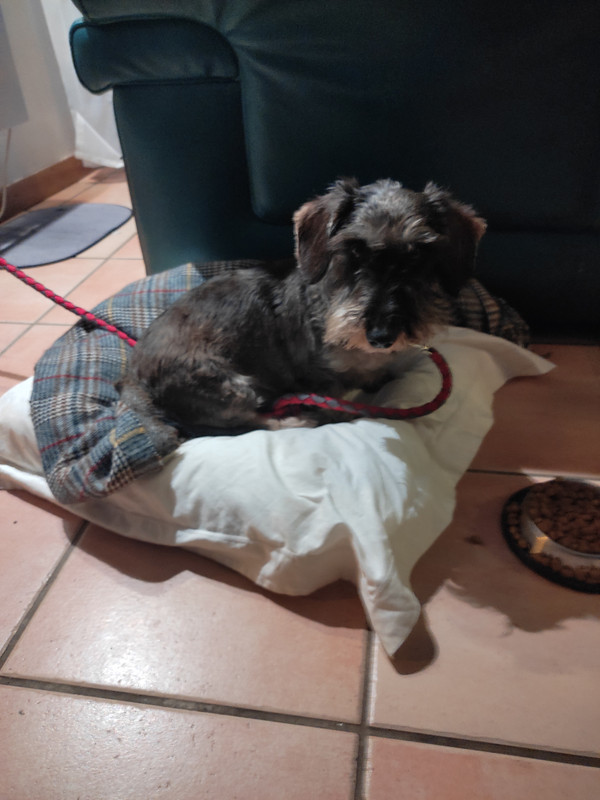 [Image: IMG-20241029-182225.jpg]