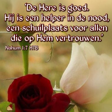 de-Here-is-goed