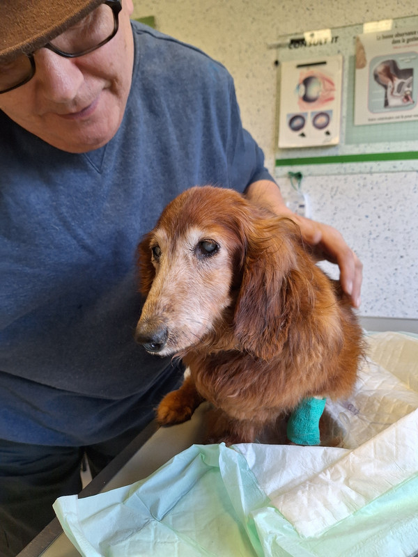 [Image: 20240305-165915.jpg]