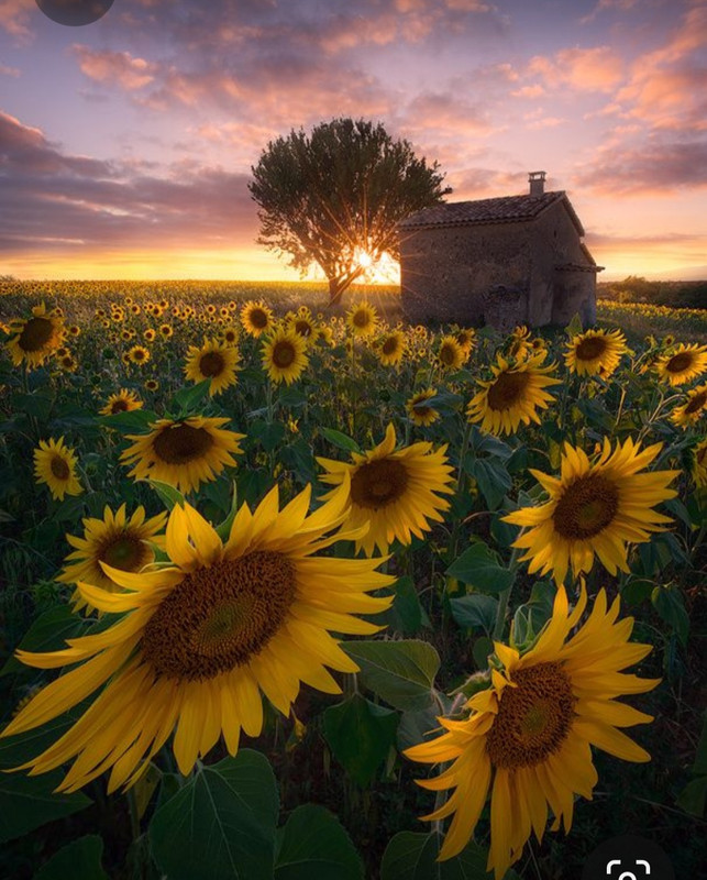 Screenshot_20230331_212133_Pinterest