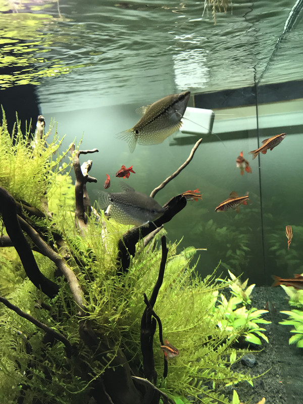 186BF696-30EE-43AF-90CD-568F8A0062C5