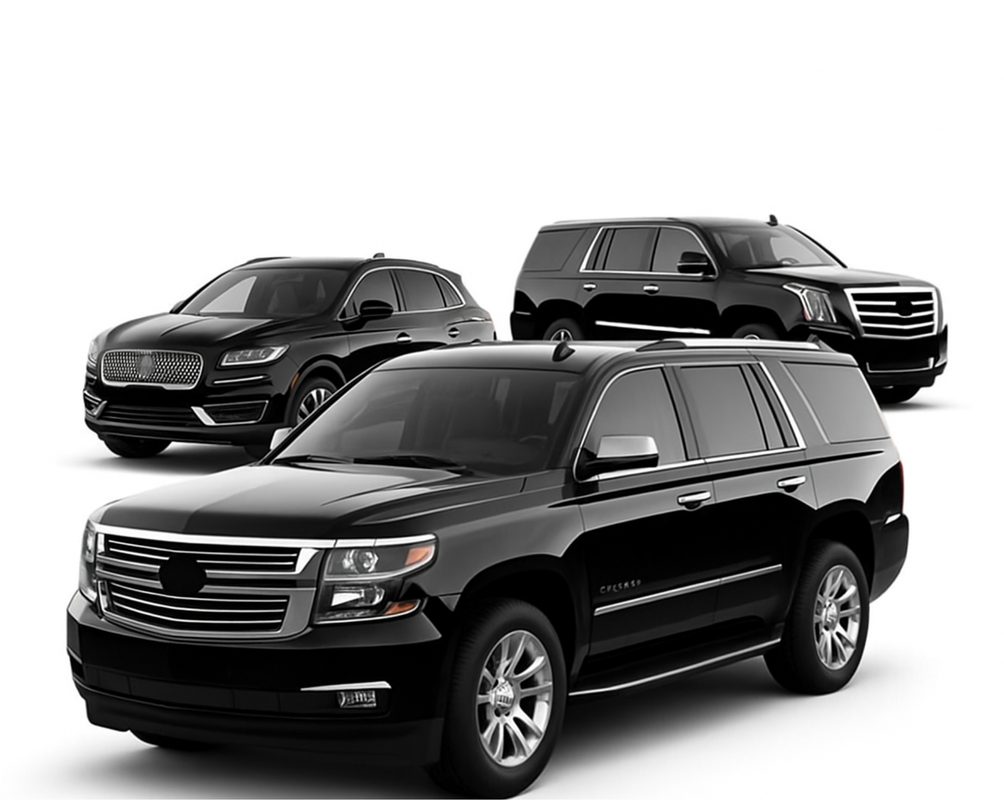 Our Premium Fleet