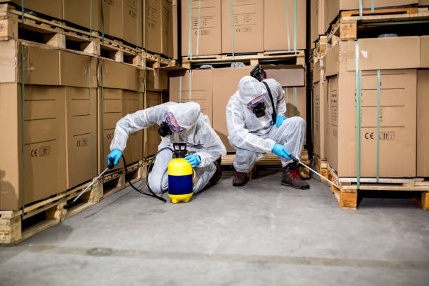 pest control Tampa