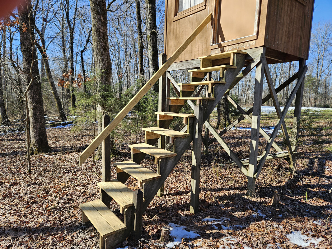 Shooting house steps