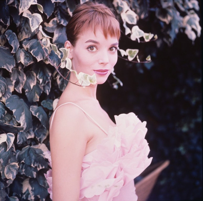 elsa_martinelli_c58