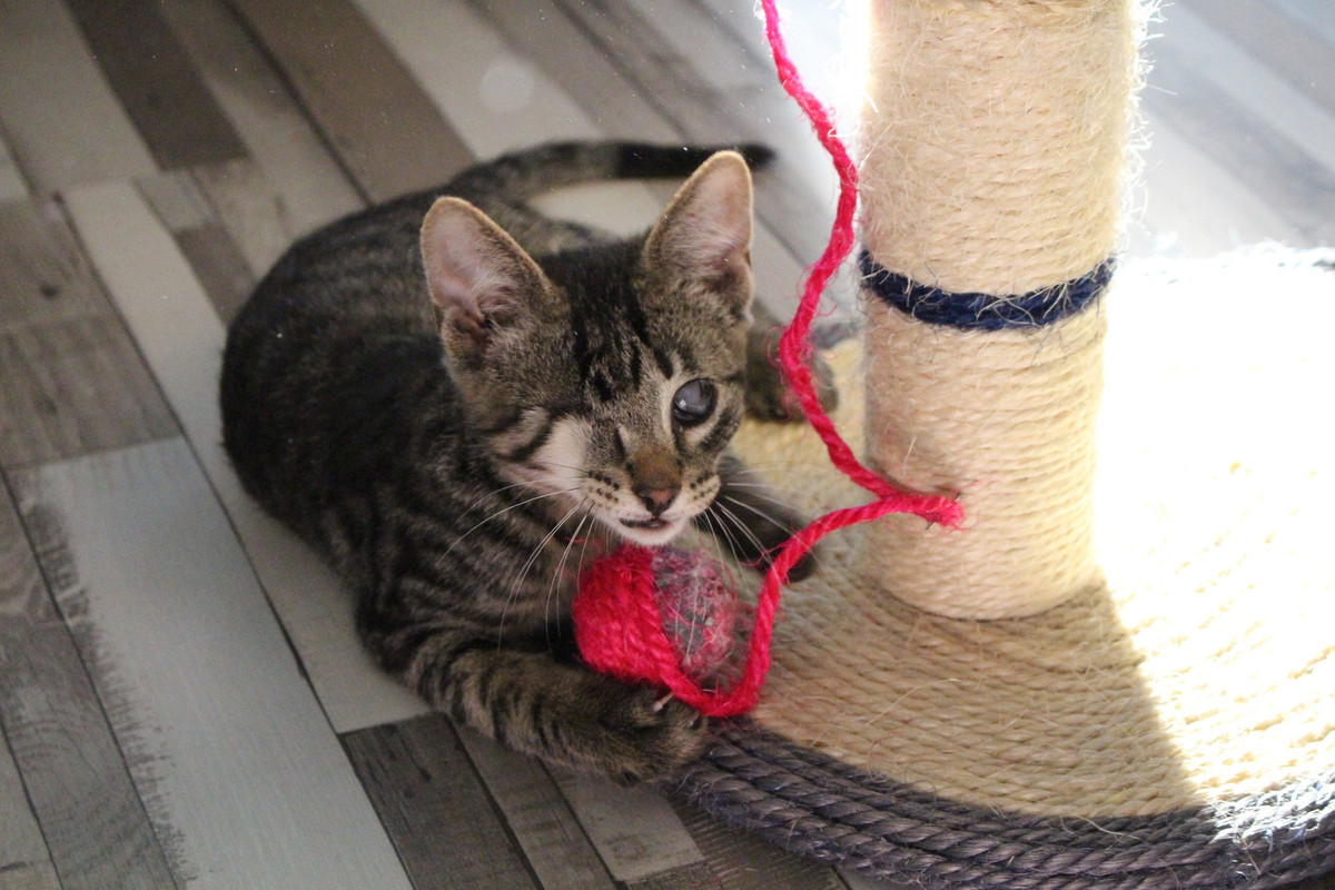 FEB07957-C53A-41F1-8B47-F981F76B533D