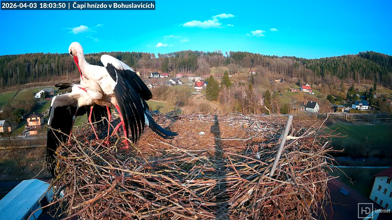 Tiešraide no KARA uzņēmuma stārķu skursteņa Bohuslavicē netālu no Trutnovas 12 33 0 screenshot (1)