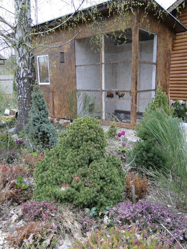 DSC05565