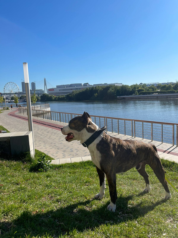 A7C4903C-33F6-405A-A0BA-F92E0B5F28FA